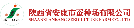 im电竞