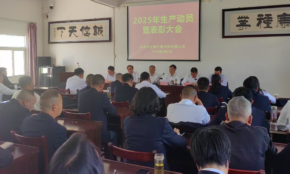 im电竞召开2025年生产动员暨表彰大会