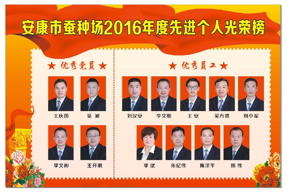 im电竞2016年度光荣榜