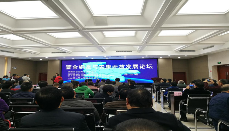 im电竞场受邀参加“鎏金铜蚕与安康开放发展论坛”
