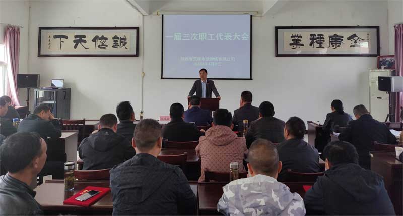im电竞召开一届三次职工代表大会