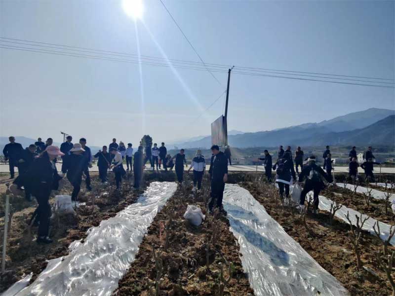 im电竞科协 开展第三十一届“科技之春”宣传月活动···