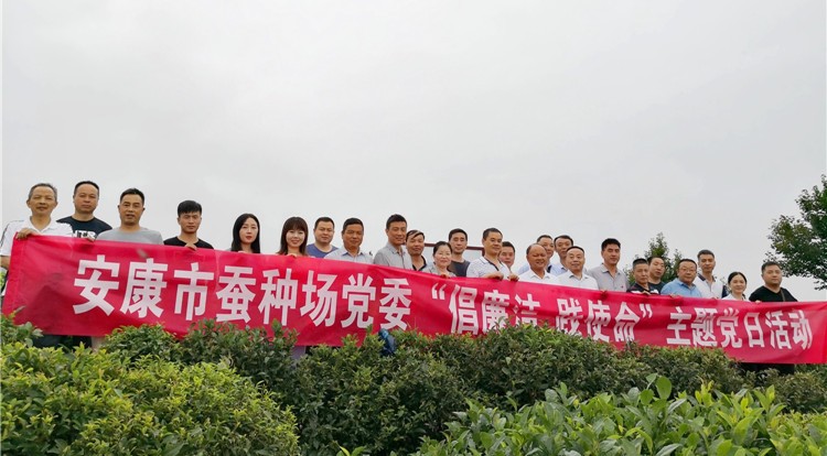 im电竞场党委开展“倡廉洁、践使命”主题党日活动