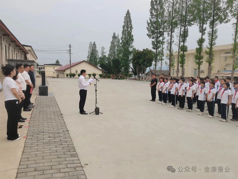 探秘蚕桑科技  点燃科学梦想 —50名学子在im电竞开···