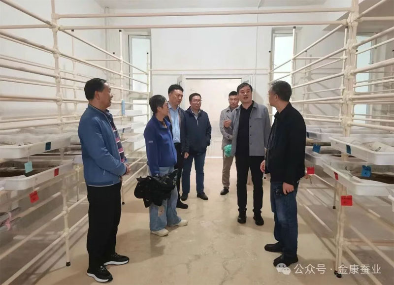 省农作物种质资源库调研组到im电竞调研桑蚕种质资···