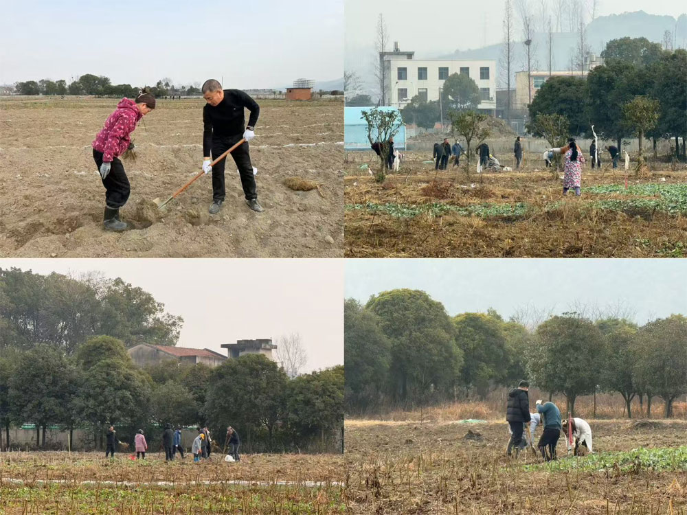 深耕沃土育新苗 同心聚力强根基——im电竞开展全员···