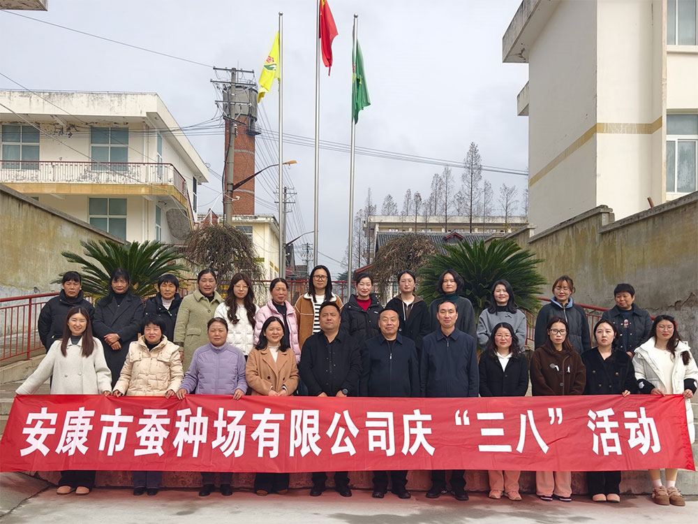 巾帼心向党 奋进新征程——im电竞开展庆“三八”国···